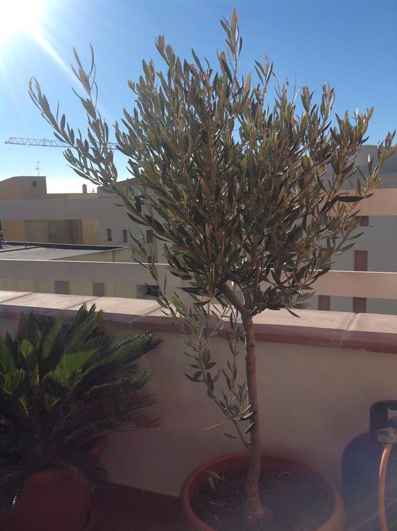 Villamari Apartment ألغيرو المظهر الخارجي الصورة
